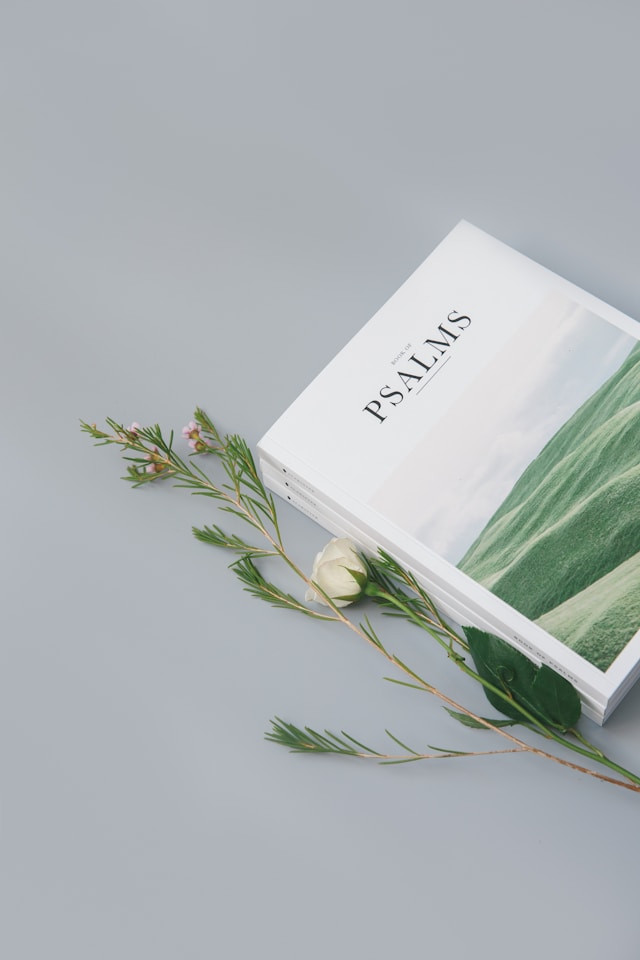 From Anguish to Praise: Navigating Emotions in the Psalms
SureHope Counseling & Training Center
