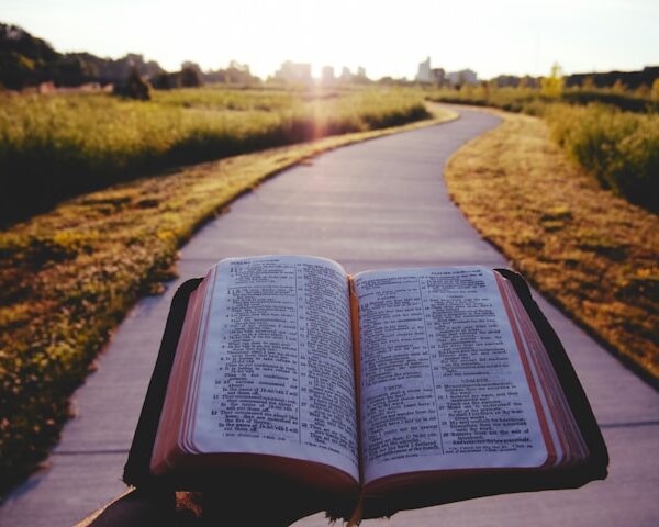 Emotion in Scripture: The Word Is Living and Active