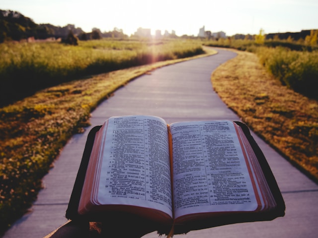 Emotion in Scripture: The Word Is Living and Active
SureHope Counseling & Training Center