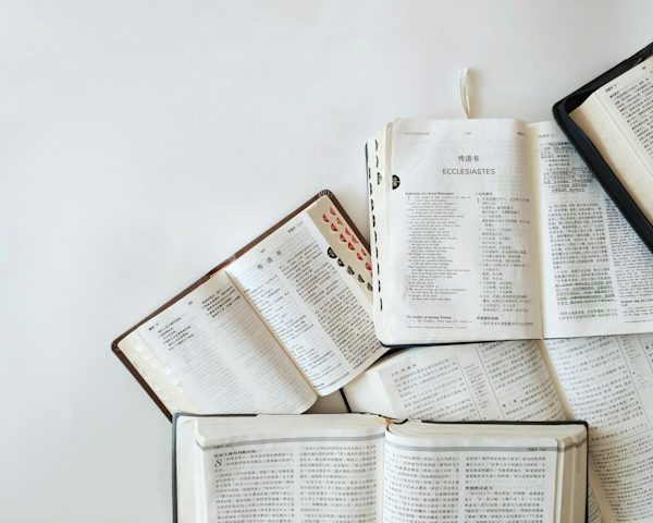 Emotions in Scripture: The Mirroring Power of Biblical Narrative