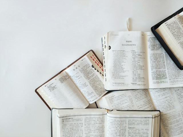 Emotions in Scripture: The Mirroring Power of Biblical Narrative
SureHope Counseling & Training Center